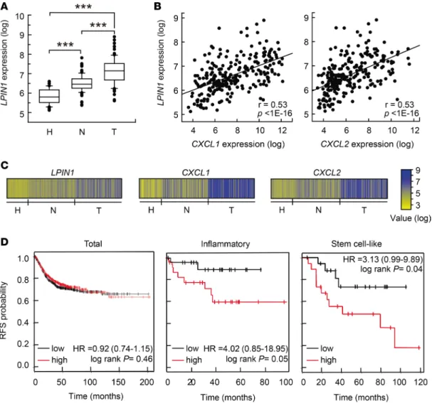 Figure 8. Expression pattern of LPIN1 in human UC and colorectal cancer and prognostic values in cancer