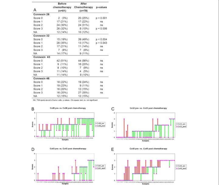 Figure 1 Expression of connexin isotypes in breast cancers before and after neoadjuvant chemotherapy (A)