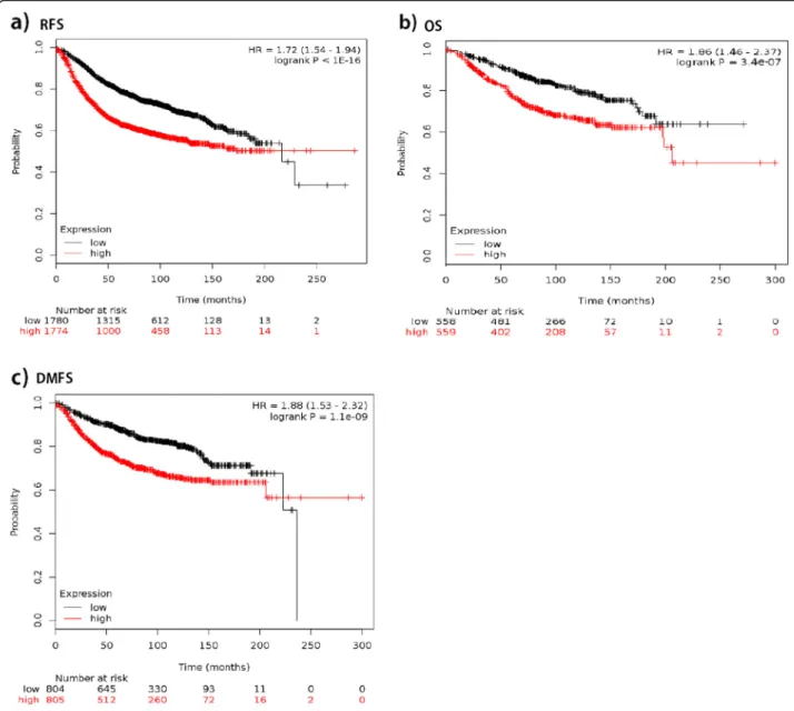 Fig. 1 The prognostic effect of the expression of SPAG5 in www.kmplot.com. a RFS b OS c DMFS