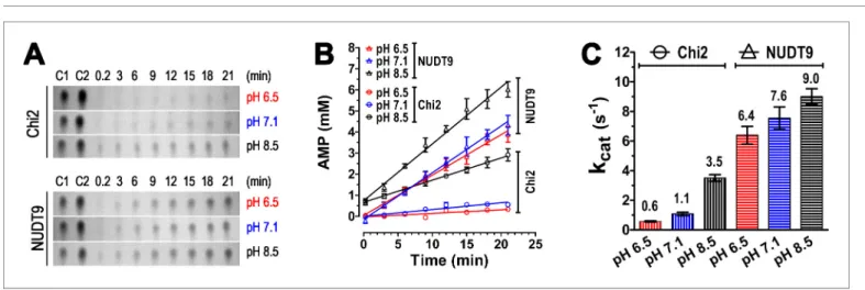 Figure supplement 2. Spontaneous ADPR degradation at basic pH, monitored with TLC.