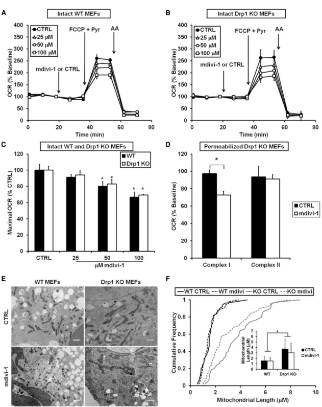 Figure 4. mdivi-1-Induced Respiratory Inhibition Is Not Mimicked by Drp1 KO or Dependent upon Drp1 Expression