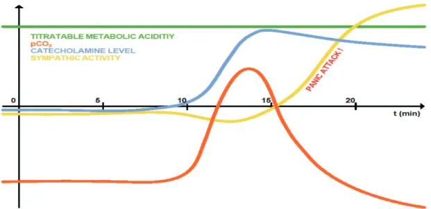 Fig. 1. Schematic diagram of (respiratory subtype) panic attack