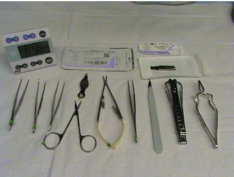 Fig. 2. Instruments of the spinal cord injury surgery.  