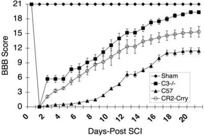 Fig. 3 Combined BBB locomotor scores post-SCI within sham, vehicle control, C3-deficient,  and CR2-Crry groups