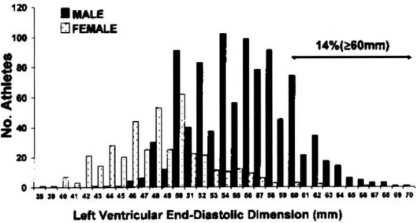 Figure  5/A.  Left  ventricular  end-diastolic  dimensions  in  male  and  female  athletes  by  echocardiography