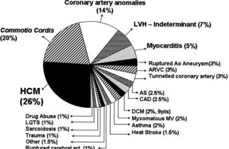 Figure 6. Causes of sudden cardiac death in young athletes. (2,67)  