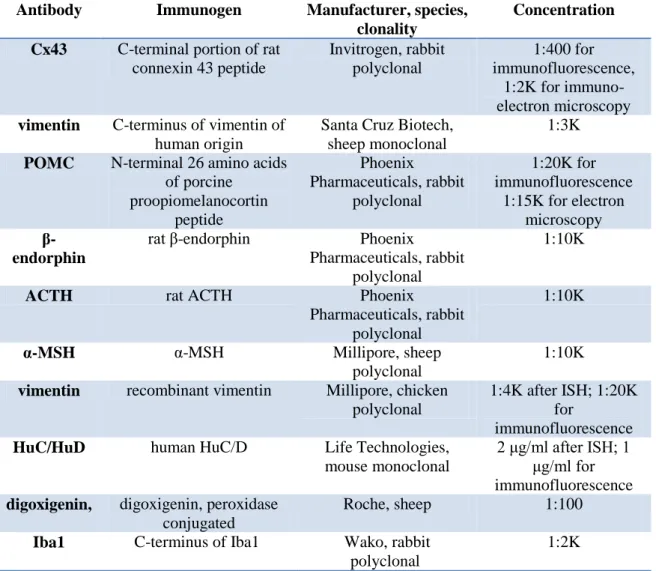 Table 3:  The  manufacturer  and concentration of the primary antibodies used in the  experiments
