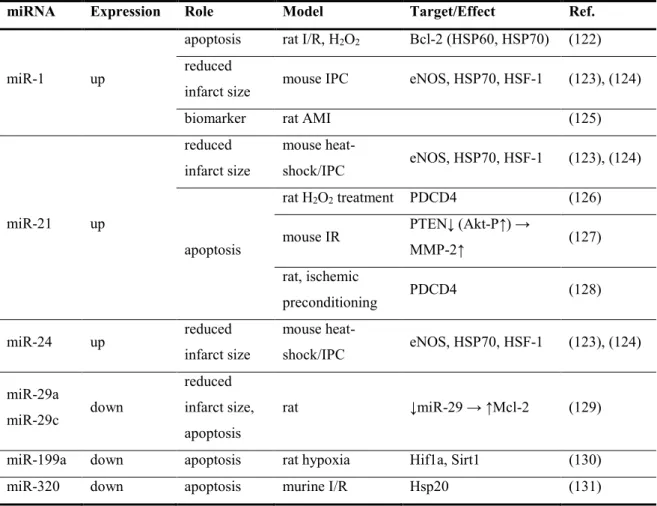 Table 2. List of the first identified miRNAs in relation to ischemia-reperfusion (of the  heart, in acute myocardial infarction)
