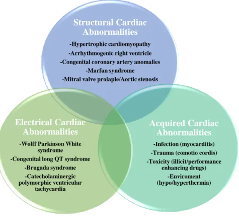 Figure 3. Groups of causes of SCD in Young Athletes (adapted based on Chandra N. 