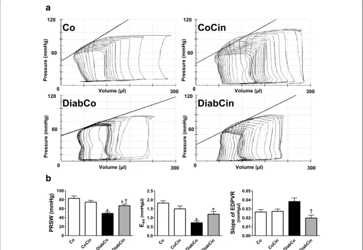 Fig. 6  Effect of cinaciguat on left ventricular (LV) contractility and cardiac stiffness in diabetes mellitus