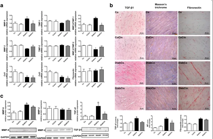 Fig. 4  Effects of diabetes mellitus and cinaciguat on myocardial fibrotic remodelling