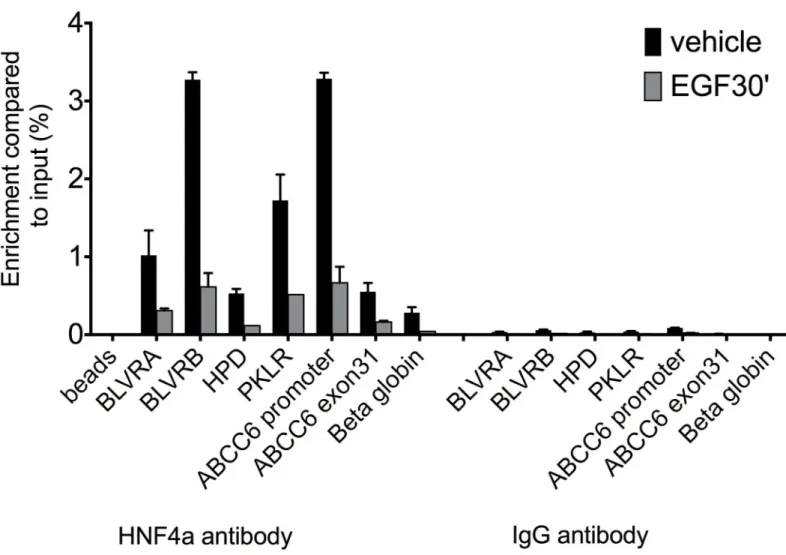 Fig 5. ChIP-qPCR results showing HNF4α occupancy on seven genomic regions of hepatic HNF4α target genes