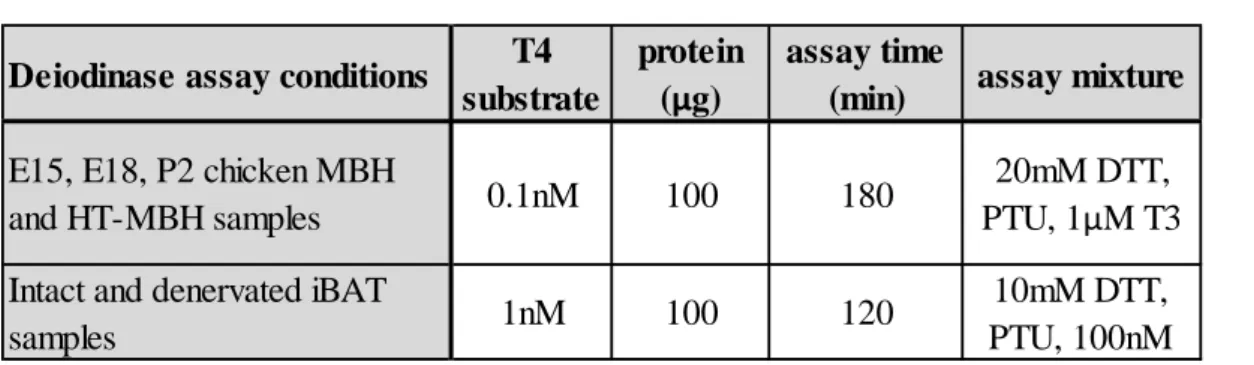 Table 3. Deiodination assay conditions for D2; MBH: Mediobasal hypothalamus, HT- HT-MB:  hypothalamic  block  lacking  MBH;  iBAT:  interscapular  brown  adipose  tissue; 