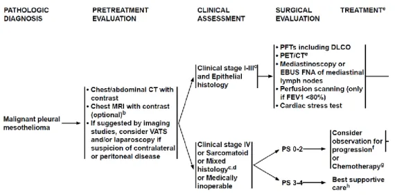 Figure  10:  Initial  diagnostic  and  staging  procedures  for  patients  with  MPM  as  proposed  by  the  NCCN  [85]