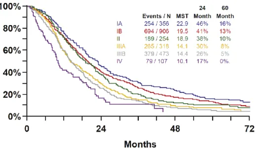 Figure 12: Overall survival according to the TNM-8 staging system for MPM. Adopted from [97] 