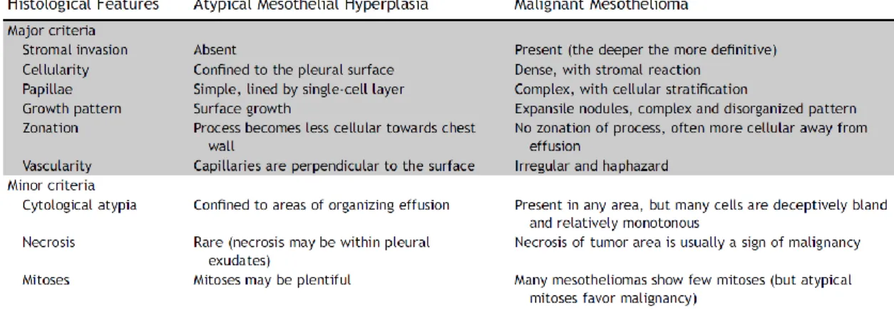 Table  2:  Tissue  features  of  reactive  atypical  mesothelial  hyperplasia  versus  epithelioid  MPM