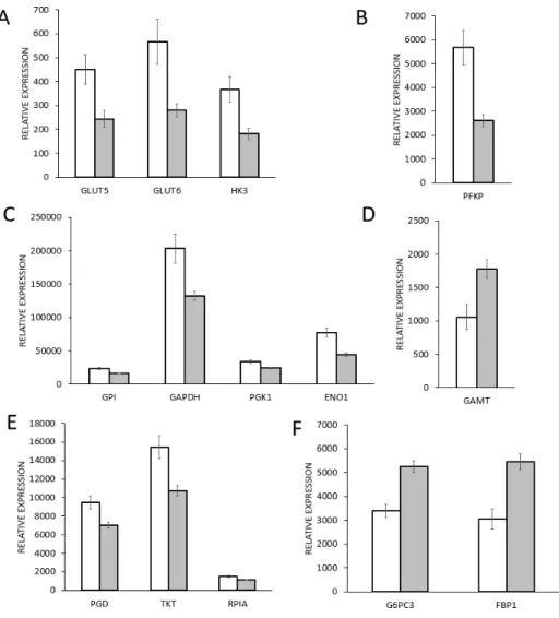 Figure 1: Gene expression of glycolysis enzymes in mutant TP53 cohort (mutTP53, n=215) and in wild type TP53 cohort  (wtTP53, n=547) breast cancer samples