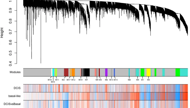 Figure 2: Weighted gene co-expression network analysis of the entire dataset transcriptome using top variable genes  identifies 17 modules