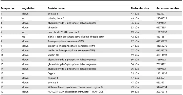 Table 1. List of proteins identified in Tet-on wtTG2 cells by LC/MS-MS.