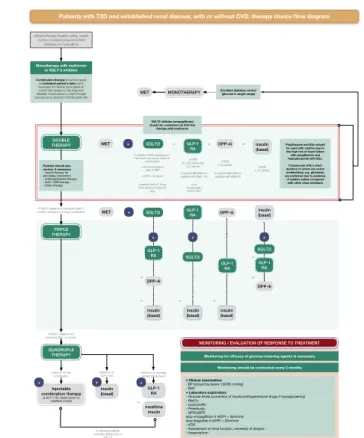Fig. 2  Treatment algorithm for patients with type 2 diabetes (T2D) and established chronic kidney disease (CKD), with or without cardiovascular  disease (CVD): initial considerations for therapy and therapy choice flow diagram