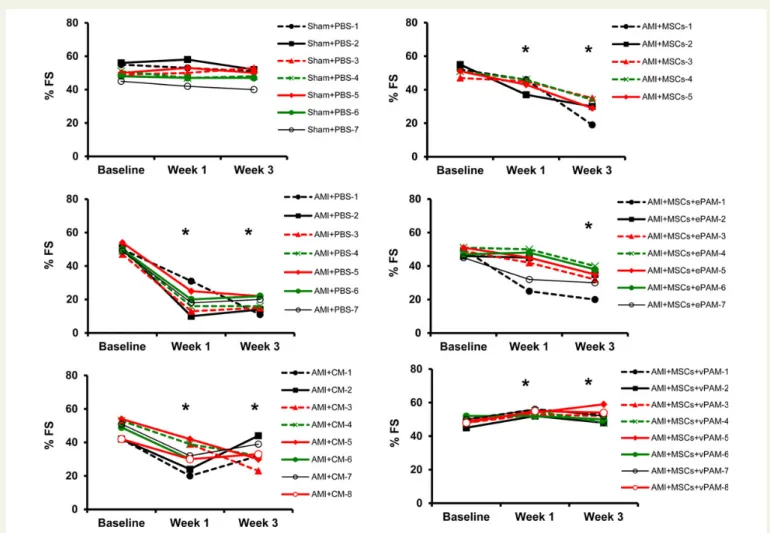 Figure 2 Left ventricular FS 1 week and 3 weeks after AMI and intramyocardial injection of AT-MSCs with or without conjugation with PLGA micro- micro-spheres