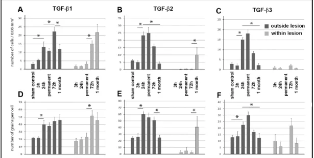 4. ábra TGF-β fehérjék időbeli eloszlása MCAO-t követően (Pal és mtsai. 2012) 