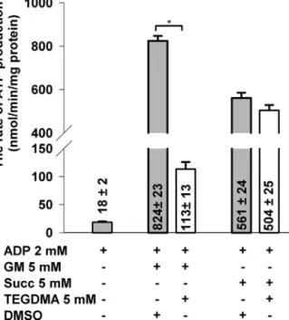 Fig. 7 – Effects of TEGDMA on the rate of ATP synthesis in brain mitochondria respiring on either glutamate plus malate or succinate