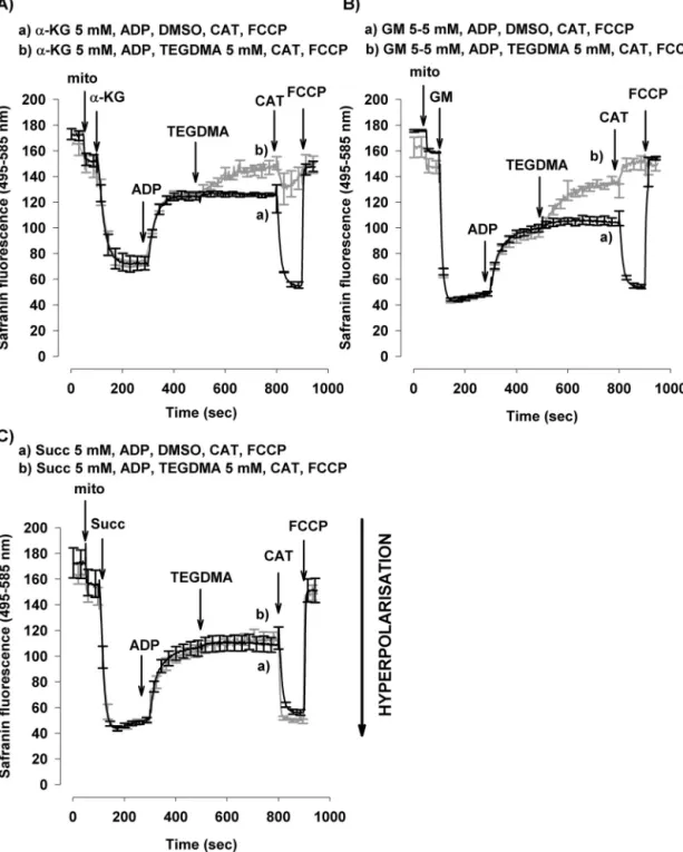 Fig. 2 – The effect of TEGDMA on   m in ␣ -ketoglutarate (A), glutamate plus malate (B) and succinate (C) respiring brain mitochondria
