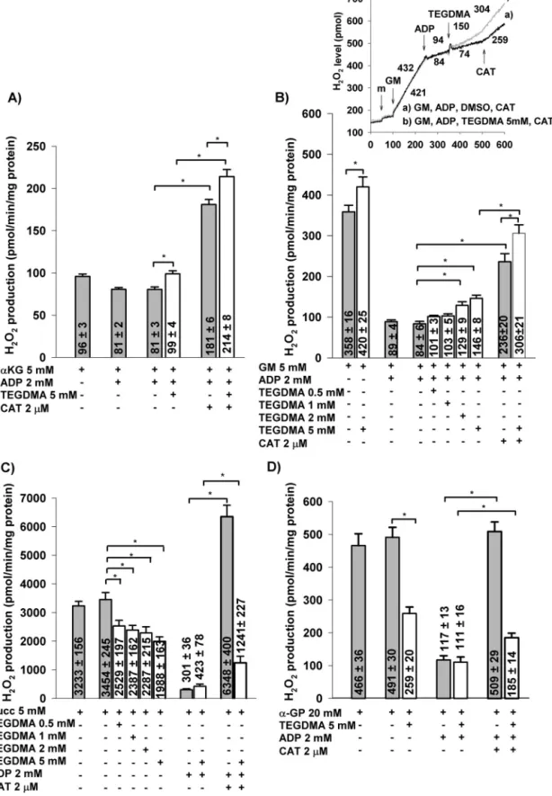 Fig. 3 – Effects of TEGDMA on H 2 O 2 production in the isolated brain mitochondria supported by ␣-ketoglutarate (␣-KG; A), glutamate plus malate (GM; B), succinate (Succ; C), or ␣ -glycerophosphate (20 mM) ( ␣ -GP; D)