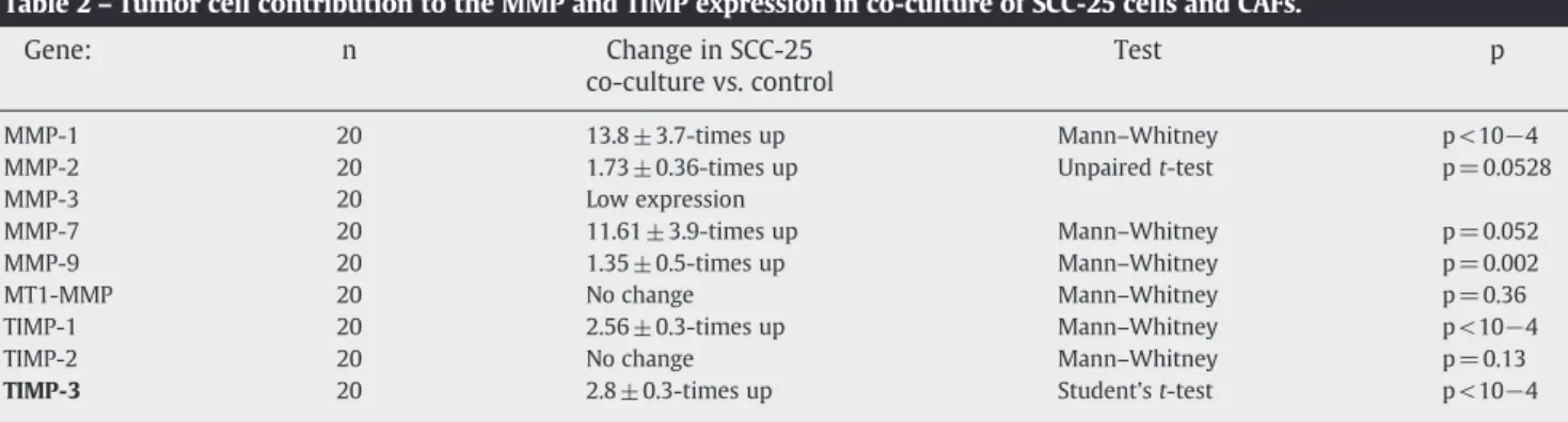 Table 2 – Tumor cell contribution to the MMP and TIMP expression in co-culture of SCC-25 cells and CAFs.