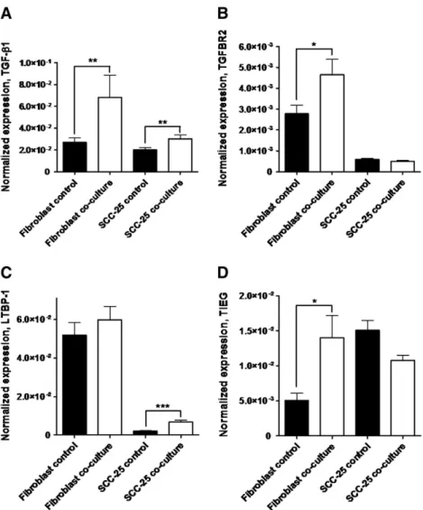 Fig. 6A, lanes 7 – 8, Figs. 6C, D), while pro-MMP-2-inactive showed comparable bands in the cell lysate of control and co-cultured SCC-25 (Fig