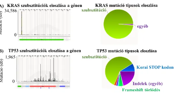 2. ábra. A szomatikus mutációk elhelyezkedése, valamint típusának eloszlása tumor  génekben  [17]
