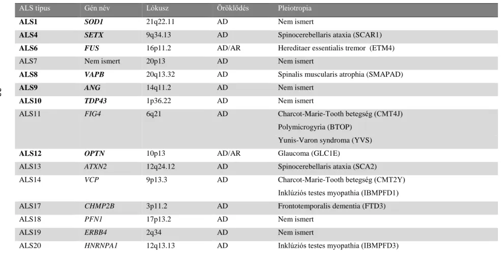 2. Táblázat: Az ALS-hez köthető legfontosabb gének  