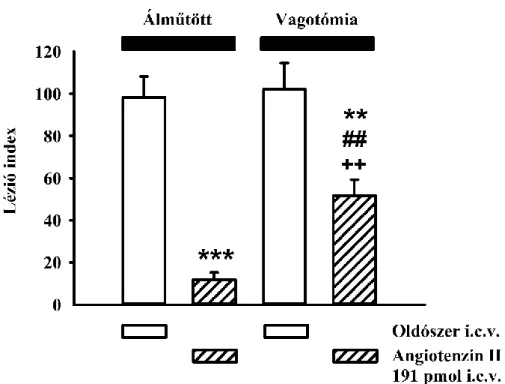 12. ábra. A bilaterális cervikális vagotómia hatása az angiotenzin II (191 pmol  i.c.v.) gasztroprotektív hatására
