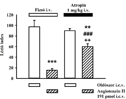 13. ábra. Az atropin (1 mg/kg i.v.) hatása az Ang II (191 pmol i.c.v.) által kifejtett  gyomorvédelemre