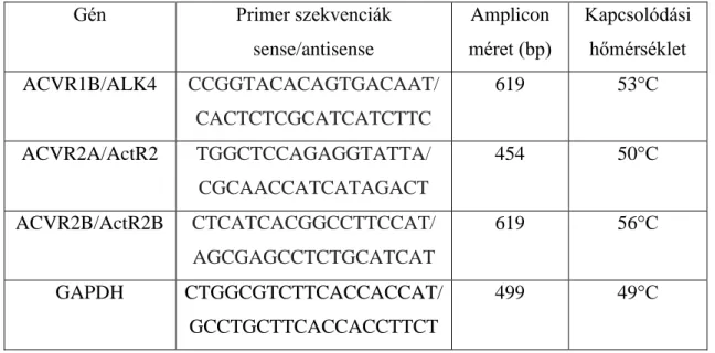 2. táblázat  Activin  receptorok  expressziós  szintjének  meghatározásához  használt  primer  szekvenciák,  amplicon  méretek  és  kapcsolódási  hőmérsékletek  SYBER  Green  valós-idejű PCR reakcióban