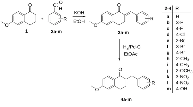 3. ábra: A CYP24A1 enzim inhibíciós kísérletben használt vegyületek szintézisét a fenti  ábrán  tekinthetjük  át