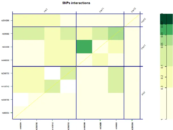 15. ábra: SNP interakciók a vizsgált géneken. Az rs 4988300 és az rs634008 SNP-k  között mutatkozott szignifikancia szintet elérő összefüggés, azonban a post hoc tesztek  során ez fals pozitívnak bizonyult