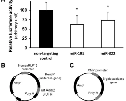 Figure 8 Results of the validation of direct interaction between rno-miR-195 and rno- rno-miR-322 and their predicted target Adrb2 by microRNA-luciferase reporter assay (A) 