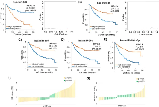 Figure 4.  Best performing miRNAs when utilizing expression ratios of tumor and matched normal samples  using data of the GSE31384 dataset