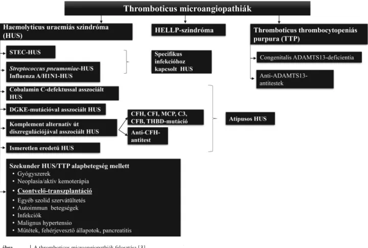 1. ábra A thromboticus microangiopathiák felosztása [3]
