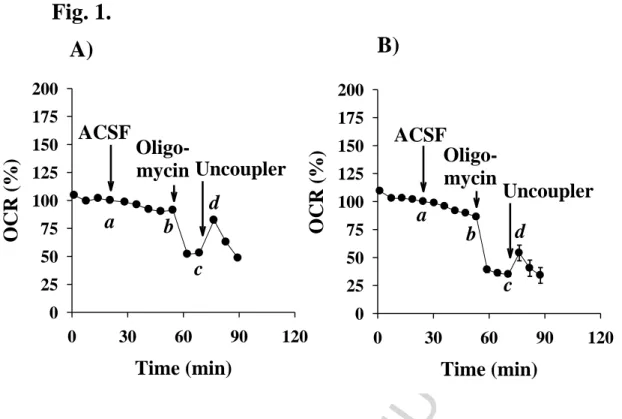 Fig.  1.  Representative  curves  of  oxygen  consumption  rates  measured  in  primary  (A)  -  and  BV-2  (B)  microglial  cells  in  the  absence  of  additional  substrate
