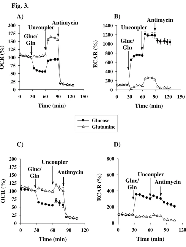 Fig.  3.  Effect  of  glutamine  and  glucose  on  mitochondrial  oxygen  consumption  and  on  glycolytic  activity  measured in primary (A, B) - and BV-2 (C, D) microglial cells upon starvation