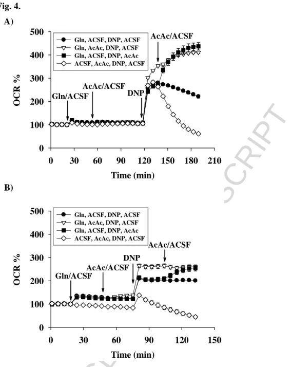 Fig.  4.  Effect  of  acetoacetate  on  glutamine-driven  respiration  measured  in  primary  (A)  -  and  BV-2  (B)  microglial cells after starvation