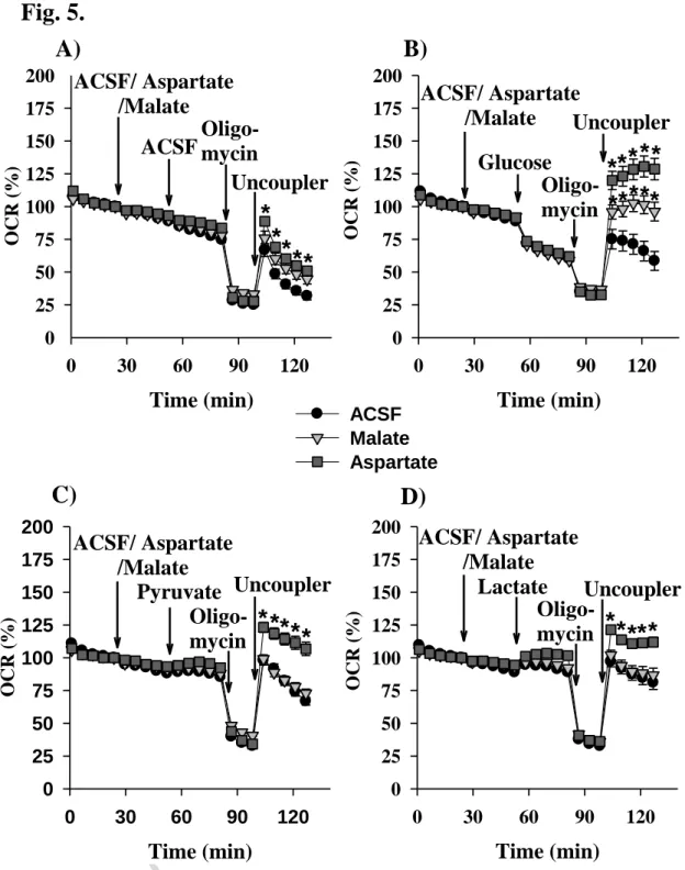 Fig.  5.  Effect  of  aspartate  and  malate  on  starving  (A),  glucose  -  (B),  pyruvate  -  (C)  and  lactate  –  driven  respiration  of  BV-2  microglial  cells