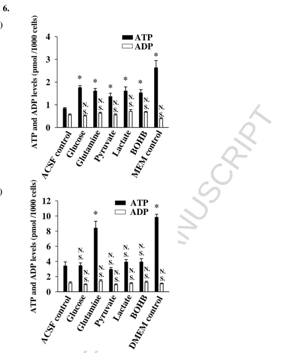 Fig.  6.  Effect  of  energy  substrates  on the  intracellular  ATP  and  ADP levels  in  primary  (A)  -  and  BV-2 (B) microglial cells after starvation