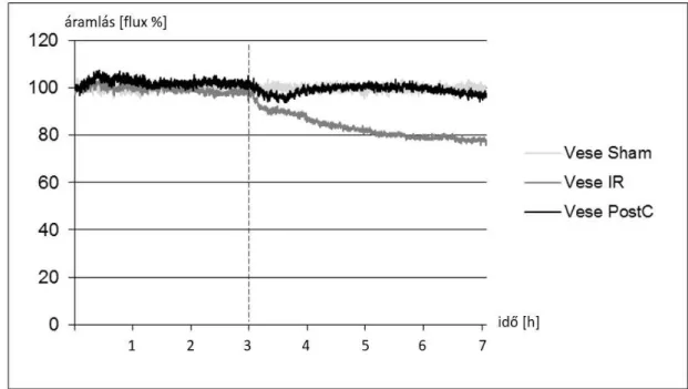 6. ábra: I. kísérlet, jobb vese felszín mikrocirkuláció lézer Doppler áramlásmérővel 