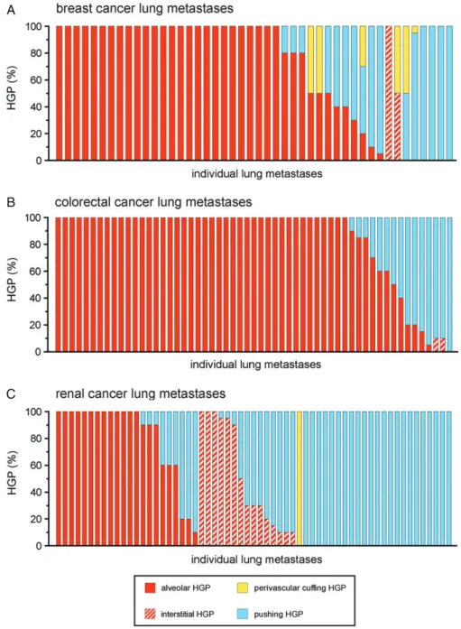 Figure 4. Frequency of the different HGPs in lung metastases of human breast, colorectal and renal cancer