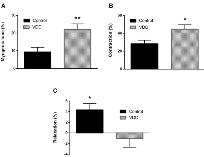 Fig 3. Alterations of vascular reactivity in VDD. VDD caused alterations in the smooth muscle tone and endothelium-dependent relaxation capacity of arterioles