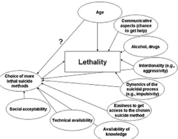 Fig 1. Potential impact factors on gender differences in lethality of suicidal acts.